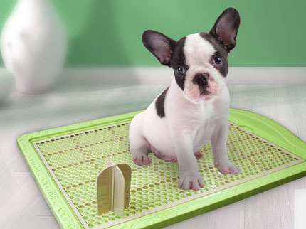 bulk buy puppy pads