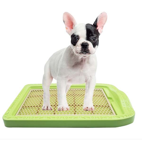 Training Pads For Dogs