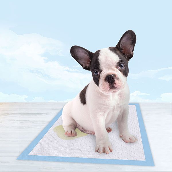 Wholesale Dog Training Pads
