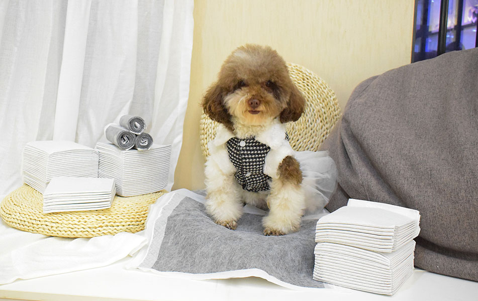 Training Pads Archives CareDe Pet Pads