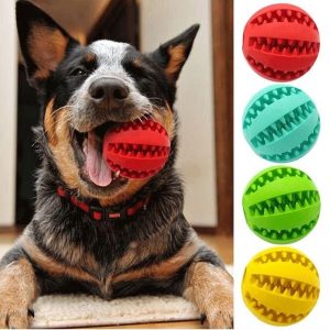 Care-De Dog Ball Toys