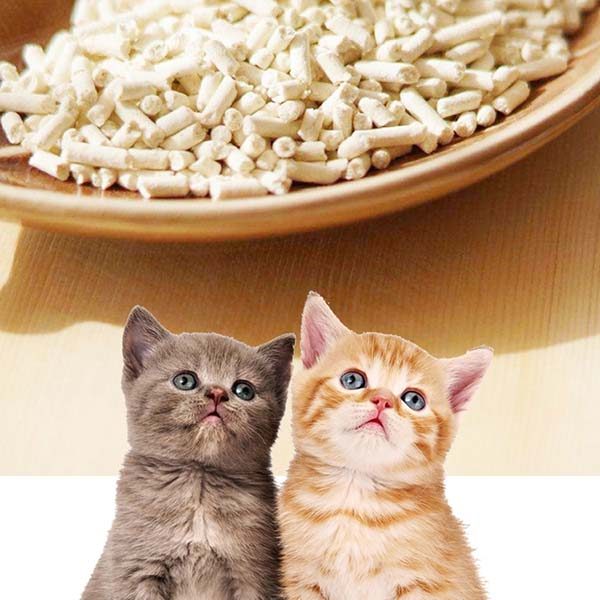 Cat Litter Supplier