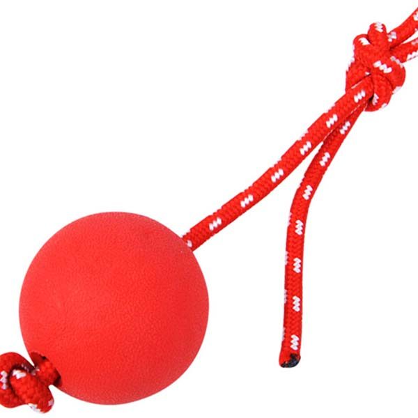 Dog Ball Toys Exporter