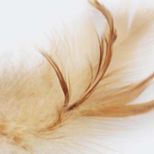 Natural Feather