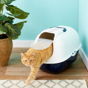 Best Litter Boxes